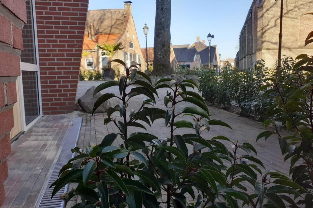 Brinkzicht Diever, Appartement Bert Exterior foto